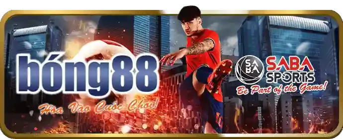 Cá cược thể thao với tỷ lệ cược tốt nhất