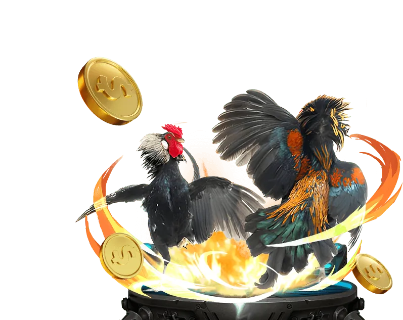 Cam kết của kuwin2 casino về trò chơi công bằng